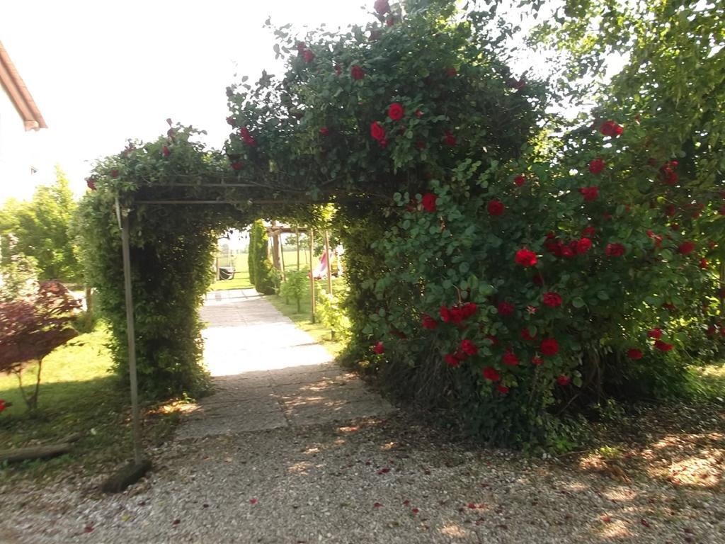 Agriturismo La Prateria Gazzo  Exterior foto